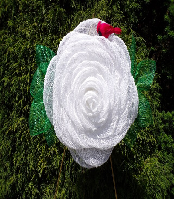 White Rose with Cardinal Wreath